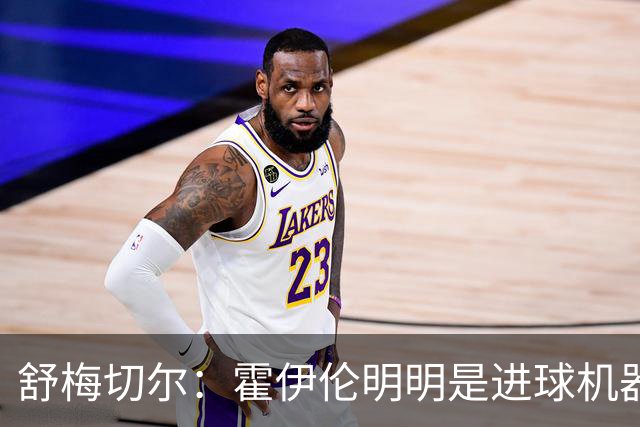 舒梅切尔：霍伊伦明明是进球机器，维韦尔来了偏要换成谢什科
