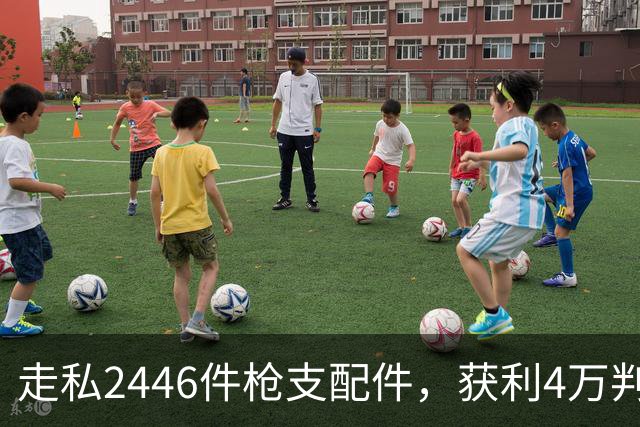 走私2446件枪支配件，获利4万判了10年，国家射击教练田红案披露